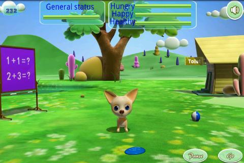 Pet Daycare
