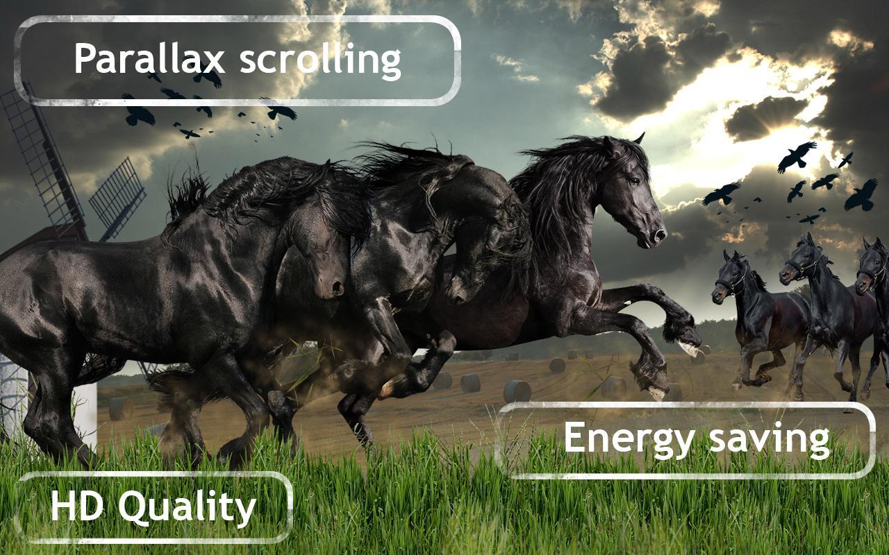 Wild Horses Live Wallpaper