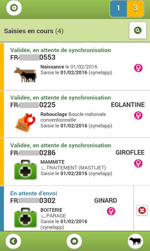 SYNel Ouest