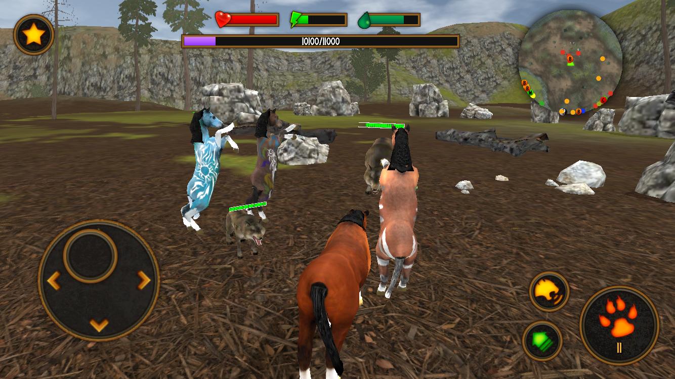 Clan of Stallions