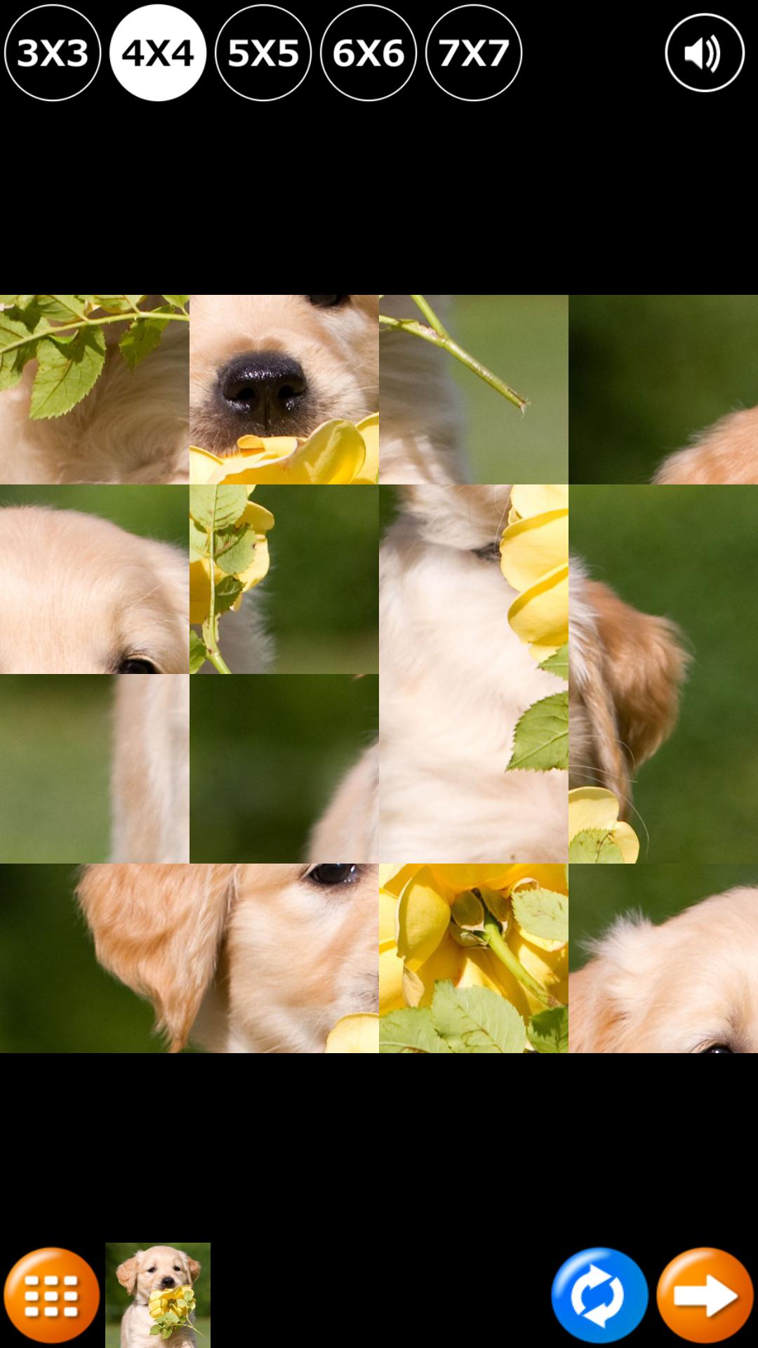 Tile Puzzle: Cute Puppies