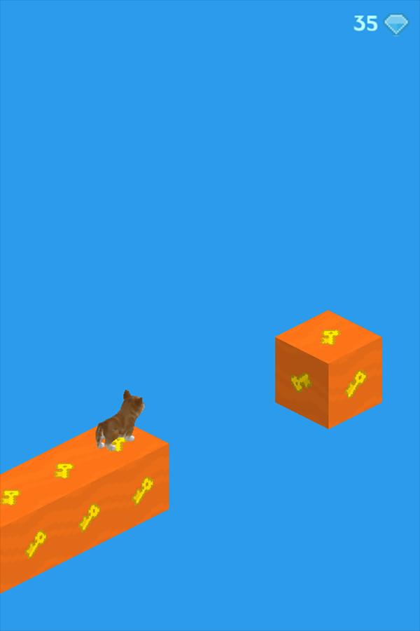 Puppy Infinite Stair