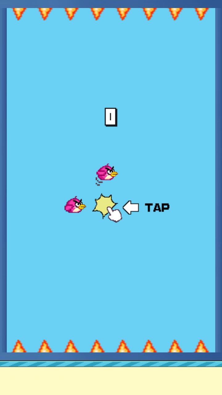 RevengeBird 2-Don't Touch Fire