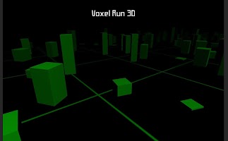 Voxel Run 3D