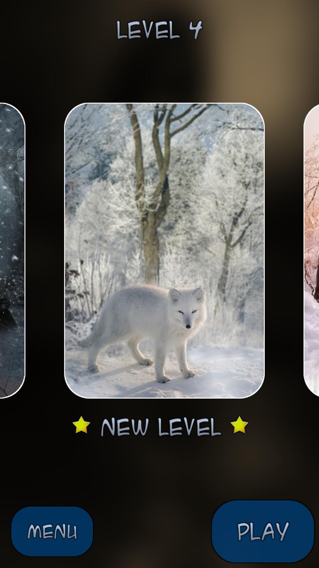 Hidden Pieces: Animal Seasons