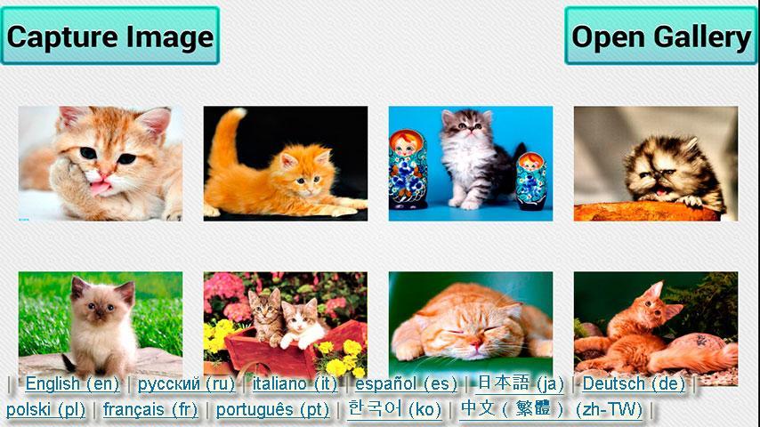 Cats and Kittens Puzzle