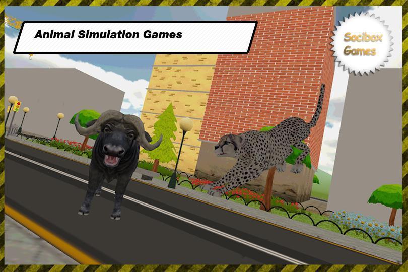 Hunting With Cheetahs