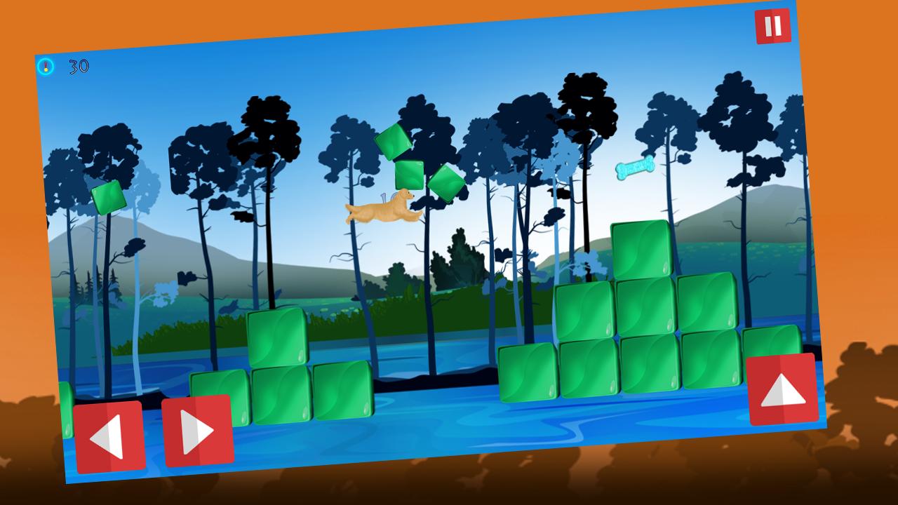 Dog Agility 2 Obstacles Race