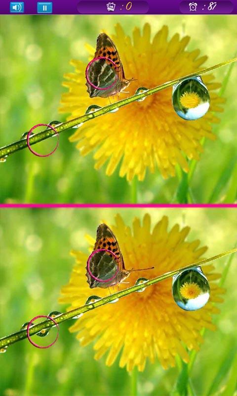 Photo Spot The Lover