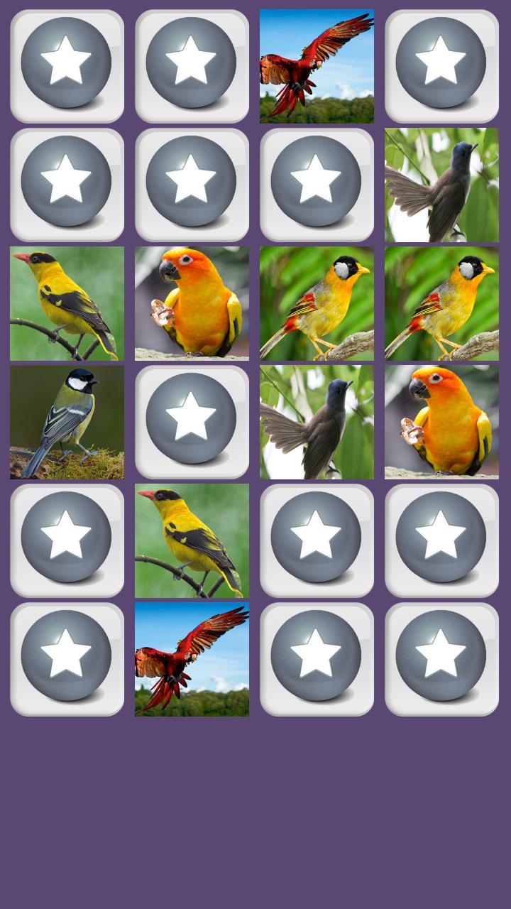 Birds Memory Game