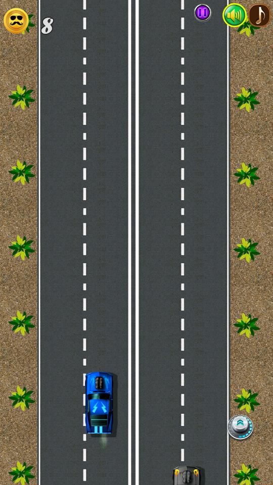 Punjabi Real Car Race