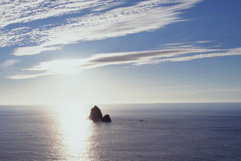 Pirates - Fallen Shadows