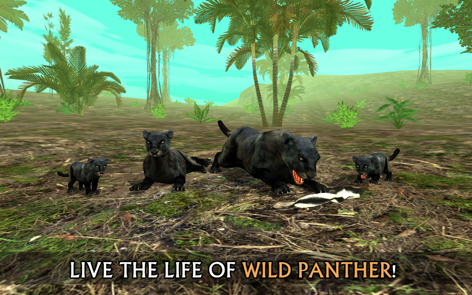 Wild Panther Sim 3D