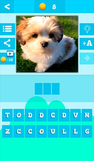 Cute Baby Animals Pics Quiz