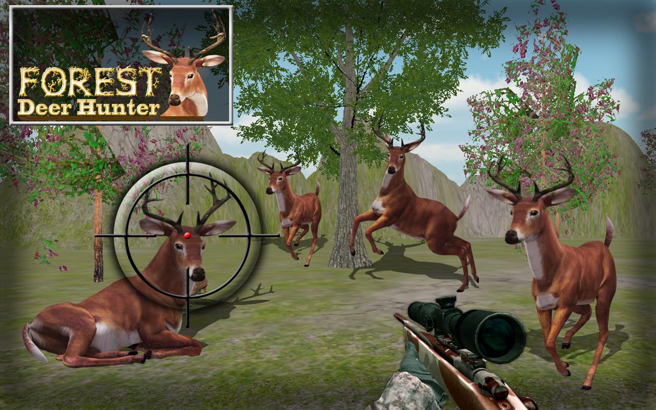 Hunt Animals in jungle