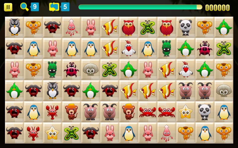 Onet Funny Animal